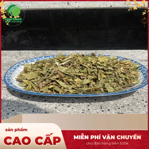 Hoàn Ngọc khô THAPHACO được đóng gói cẩn thận, chuẩn SEO