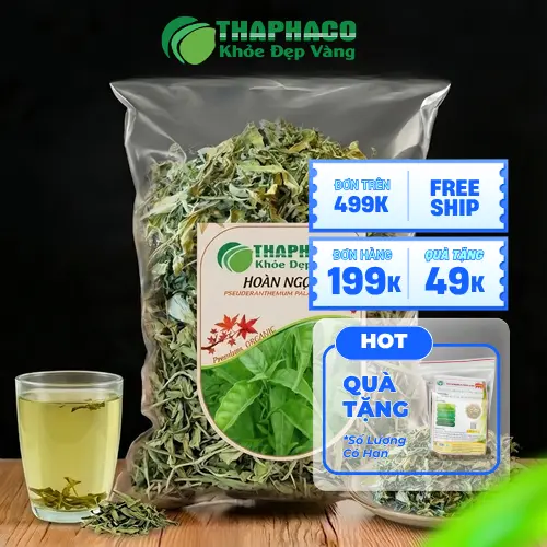 Sản phẩm Hoàn Ngọc khô chất lượng cao từ Dược Liệu THAPHACO