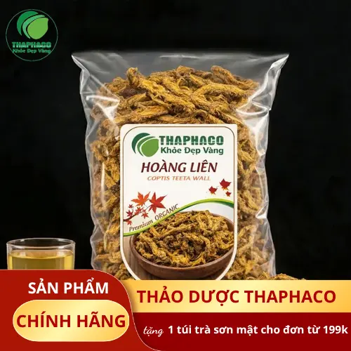 Hình ảnh hoàng liên nguyên chất với màu sắc và hình dáng đặc trưng