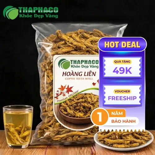 Công dụng của hoàng liên sấy khô
