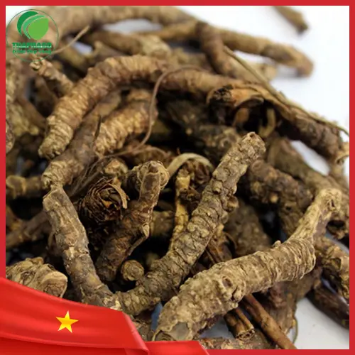 Địa chỉ mua hoàng liên sấy khô uy tín THAPHACO
