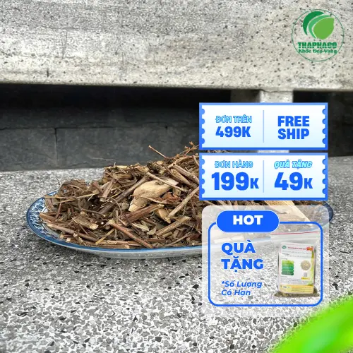 Hương nhu tươi – Vị thuốc quý cho mái tóc chắc khỏe