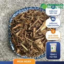 Giá Sỉ Hương Nhu Khô THAPHACO: Chất Lượng Đảm Bảo, Ưu Đãi Hấp Dẫn