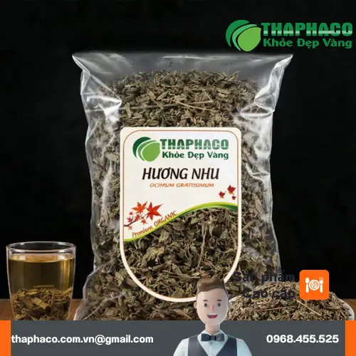 Hình ảnh cây hương nhu tươi tại THAPHACO