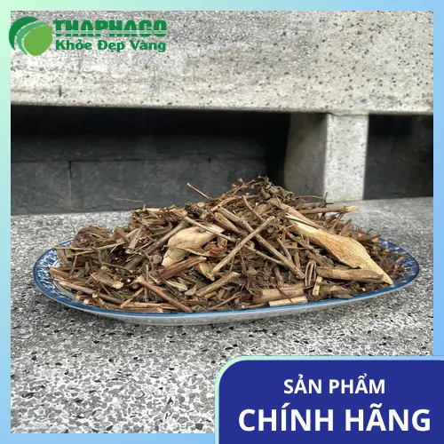 Kiểm tra chất lượng Hương Nhu Sấy Khô tại THAPHACO