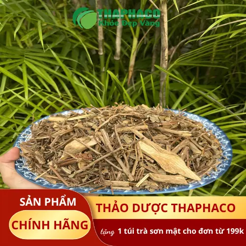 Chất lượng hương nhu khô được kiểm tra định kỳ