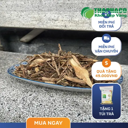 Sản phẩm Hương Nhu Sấy Khô THAPHACO sẵn sàng phục vụ