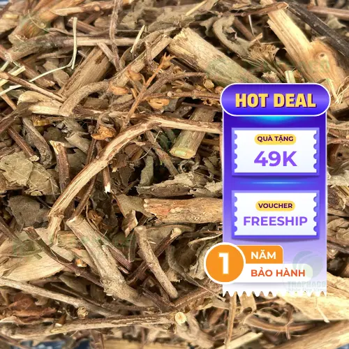 Hương nhu khô tự nhiên chất lượng cao từ THAPHACO