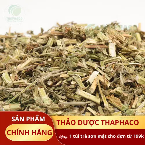 Cây ích mẫu và sản phẩm ích mẫu sấy khô chất lượng từ THAPHACO