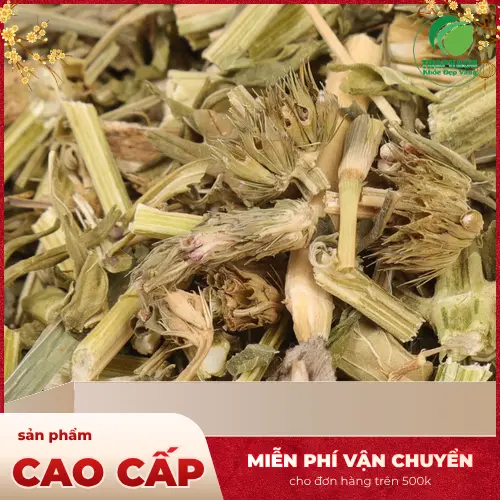 Pha trà ích mẫu sấy khô đúng cách