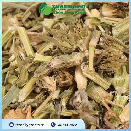 Ưu đãi khi mua ích mẫu sấy khô THAPHACO số lượng lớn
