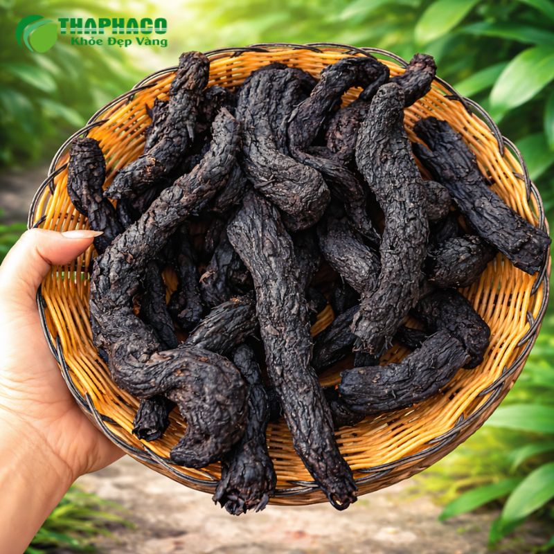 Thaphaco cung cấo dược Liệu Sạch, Nguyên Chất, Hiệu Quả cho sức khoẻ nam giới