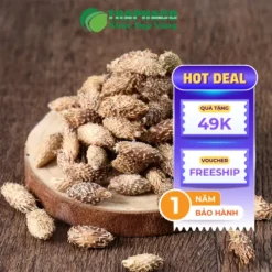 Giá Ké Đầu Ngựa Sấy Khô 1kg THAPHACO: Bao Nhiêu & Chất Lượng?