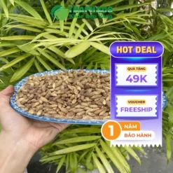 1kg Ké Đầu Ngựa Sấy Khô Giá Bao Nhiêu? Báo Giá Mới Nhất 2024