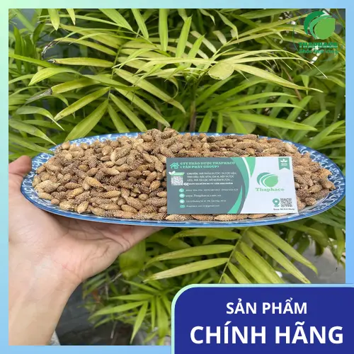 Hình ảnh cận cảnh quả ké đầu ngựa đã phơi khô