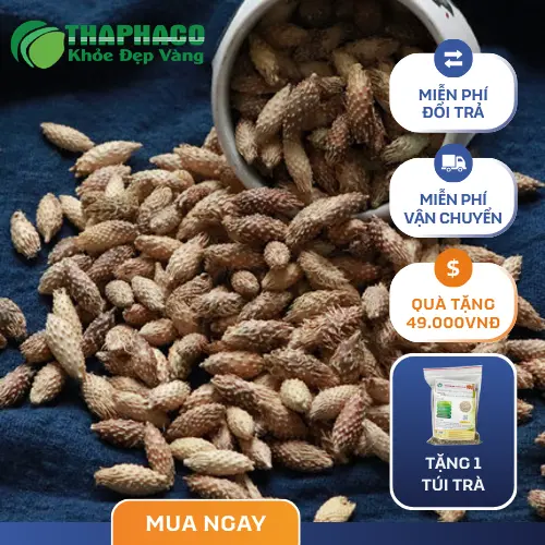 Giá ké đầu ngựa sấy khô 1kg tại THAPHACO