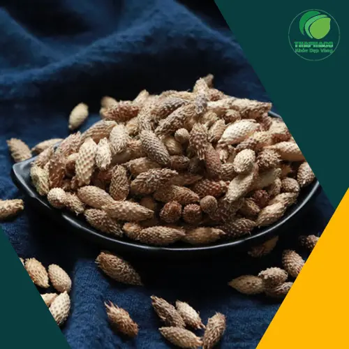 Ké đầu ngựa sấy khô hỗ trợ điều trị viêm xoang