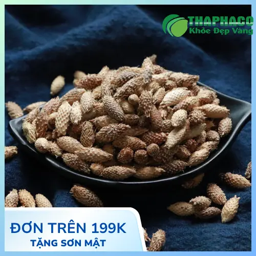 Hướng dẫn cách sắc ké đầu ngựa khô để uống