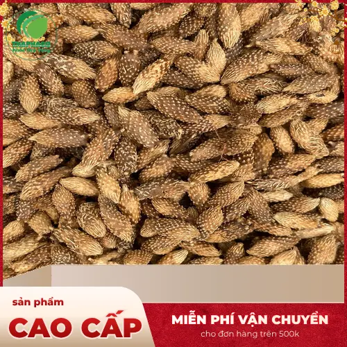 Công dụng của ké đầu ngựa sấy khô THAPHACO