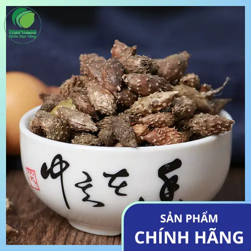 Quy trình sản xuất ké đầu ngựa sấy khô hiện đại tại THAPHACO