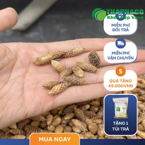 Nước ké đầu ngựa gội đầu giảm ngứa