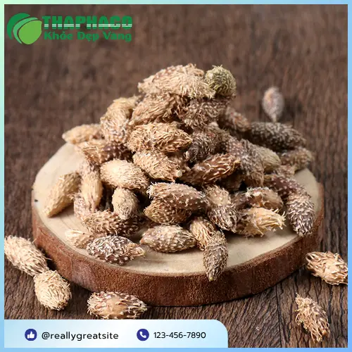 Cách dùng ké đầu ngựa sấy khô hiệu quả