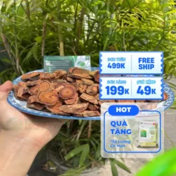 1kg Kê Huyết Đằng Sấy Khô Giá Bao Nhiêu? Đánh Giá Từ Dược Sĩ THAPHACO