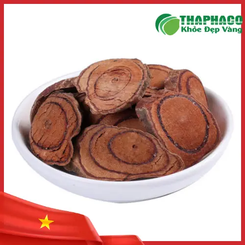 Lợi ích sức khỏe của kê huyết đằng THAPHACO