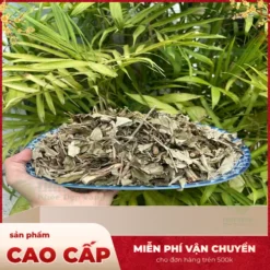 Khổ Sâm Mua Ở Đâu Giá Rẻ, Uy Tín? THAPHACO Chỉ 120K/Kg