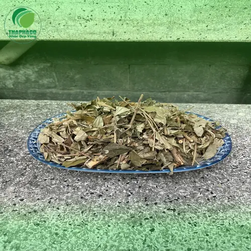 Lá khổ sâm khô THAPHACO nguyên chất, giữ trọn dược tính