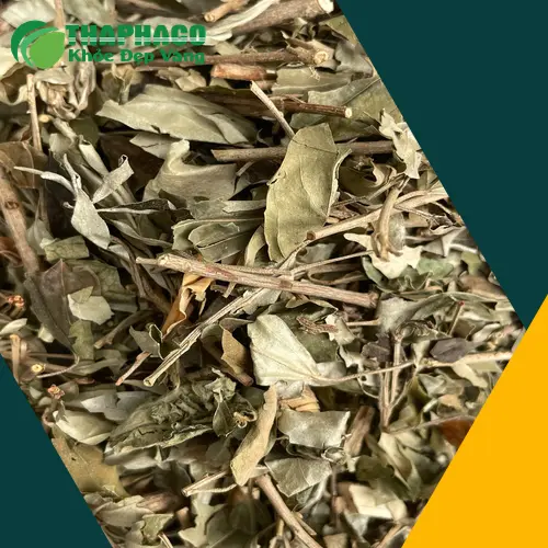 Rễ khổ sâm khô đã được sơ chế sạch sẽ và đóng gói