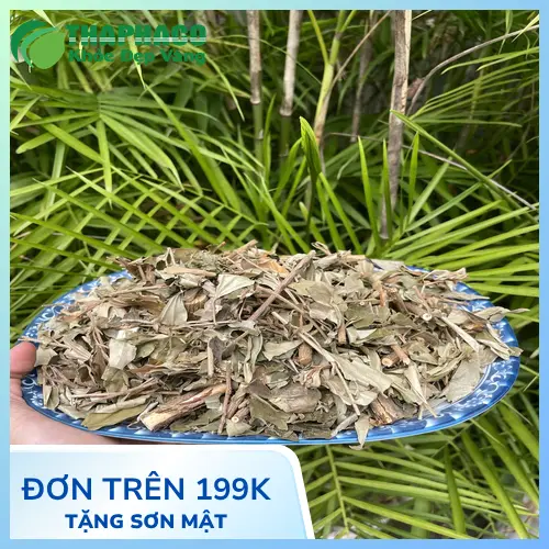 Các dạng sử dụng khổ sâm trong y học