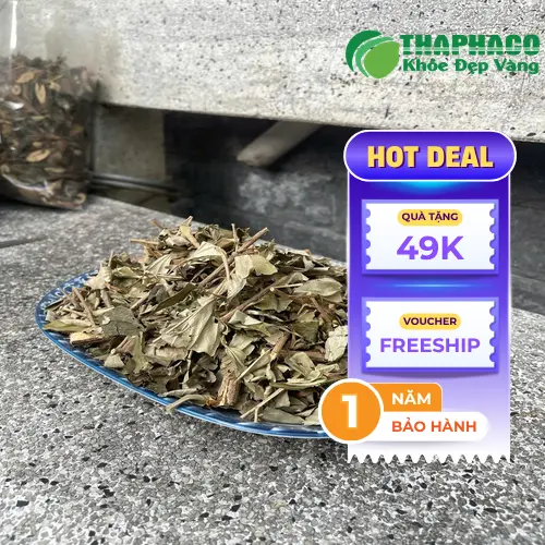 Dược Liệu THAPHACO - Địa chỉ cung cấp khổ sâm uy tín, giá tốt