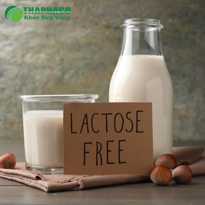 không dung nạp lactose là gì