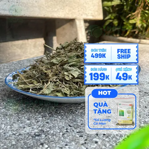Lá bạc hà tươi và khô Dược Liệu THAPHACO
