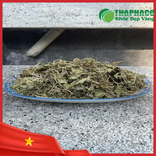 Lá bạc hà khô THAPHACO chất lượng cao giúp giảm stress
