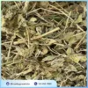 Địa chỉ bán lá bạc hà khô tại TP.HCM: Đánh giá chuyên sâu