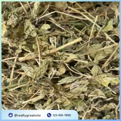 Địa chỉ bán lá bạc hà khô tại TP.HCM: Đánh giá chuyên sâu