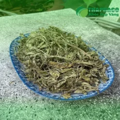Mua lá bạc hà khô chất lượng cao ở đâu?