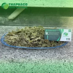 Lá Bạc Hà Khô THAPHACO: Địa Chỉ Mua Uy Tín, Giá Tốt Tại TP.HCM
