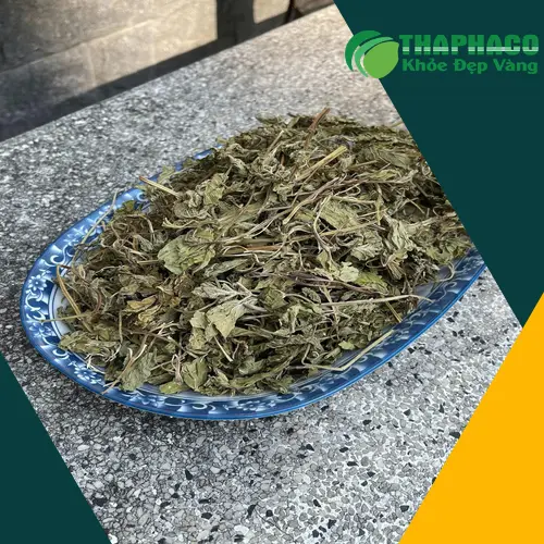 Lá bạc hà khô đạt chuẩn chất lượng