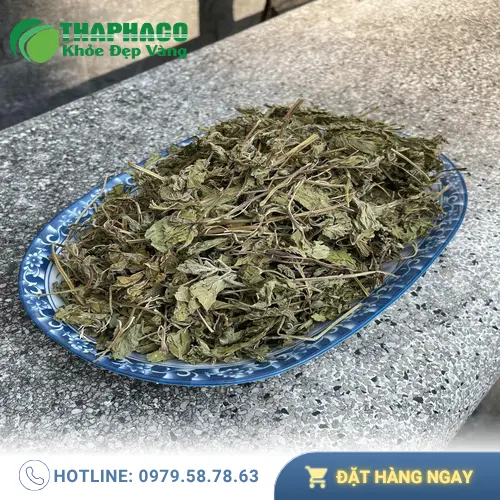 Pha trà lá bạc hà giúp hơi thở thơm mát