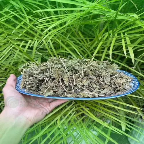 Lá bạc hà khô được sấy tự nhiên tại THAPHACO, đảm bảo chất lượng và giữ nguyên tinh dầu