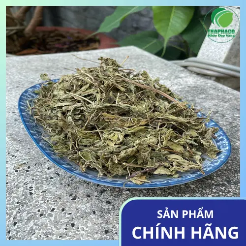 So sánh lá bạc hà tươi và khô - Ưu điểm của bạc hà khô