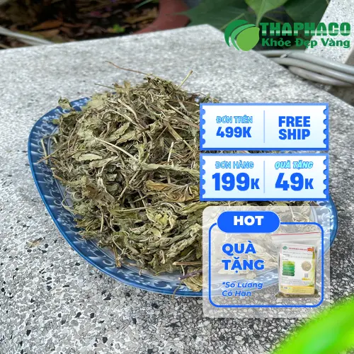 Công dụng của lá bạc hà khô THAPHACO