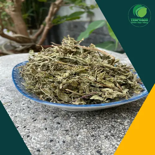 Quy trình chọn lọc lá bạc hà khô tại THAPHACO