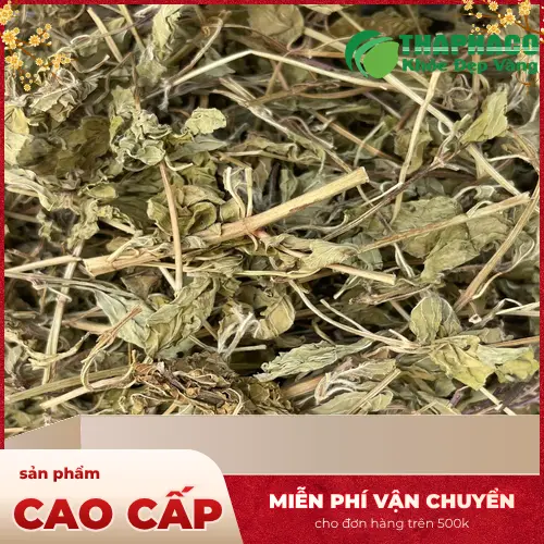 Quy trình kiểm định chất lượng lá bạc hà tại THAPHACO đảm bảo sản phẩm an toàn và hiệu quả