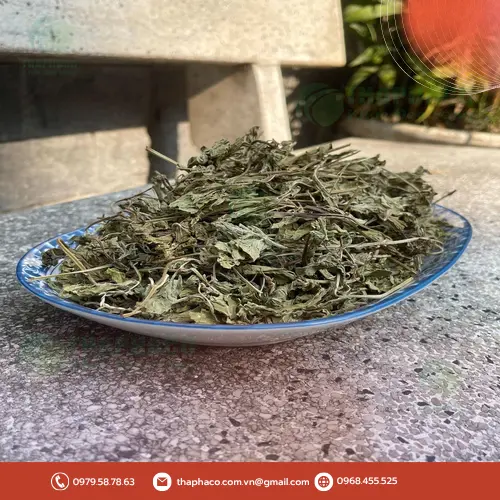 Pha trà bạc hà khô thư giãn giảm stress