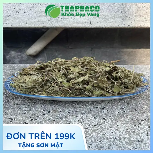 Chi tiết lá bạc hà khô THAPHACO chất lượng cao