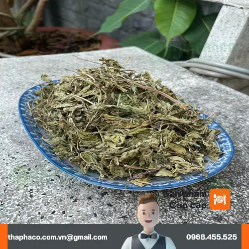Lá bạc hà khô THAPHACO cho đối tác sỉ